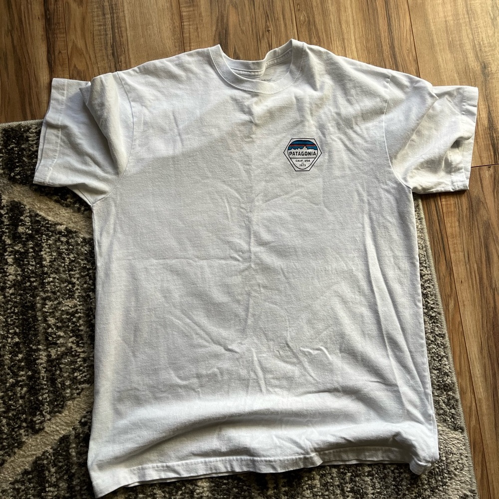 patagonia t-shirt
